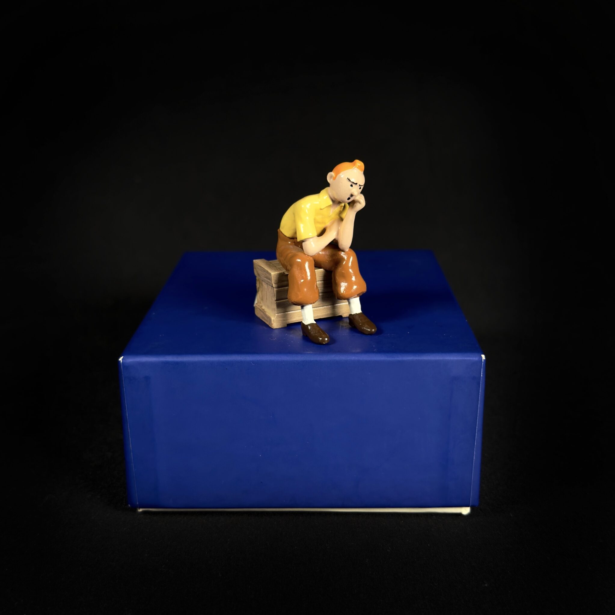 Figurine Family - Tintin caisse - pixi
