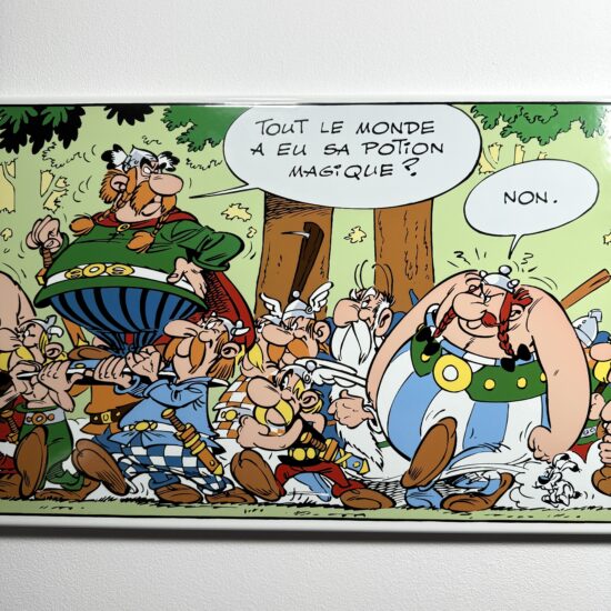 Figurine Family - plaque émaillé astérix domaine des dieux- Coustoon