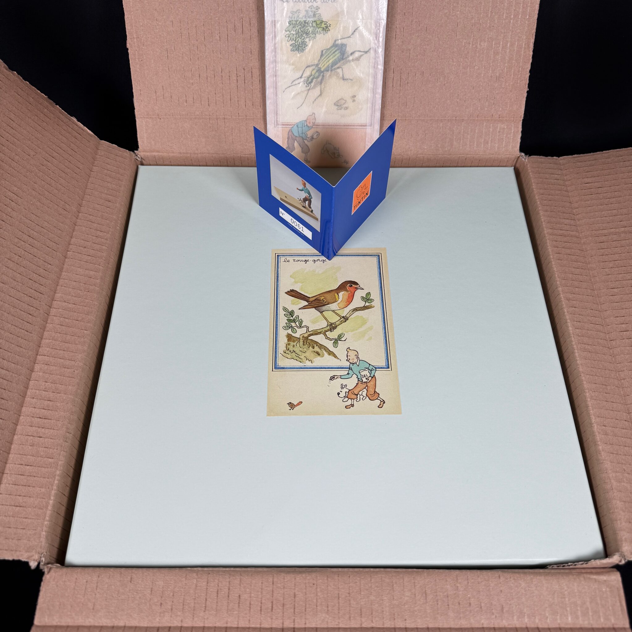 Figurine Family – Rouge gorge Tintin – Fariboles Figurine Family - Rouge gorge Tintin - Fariboles