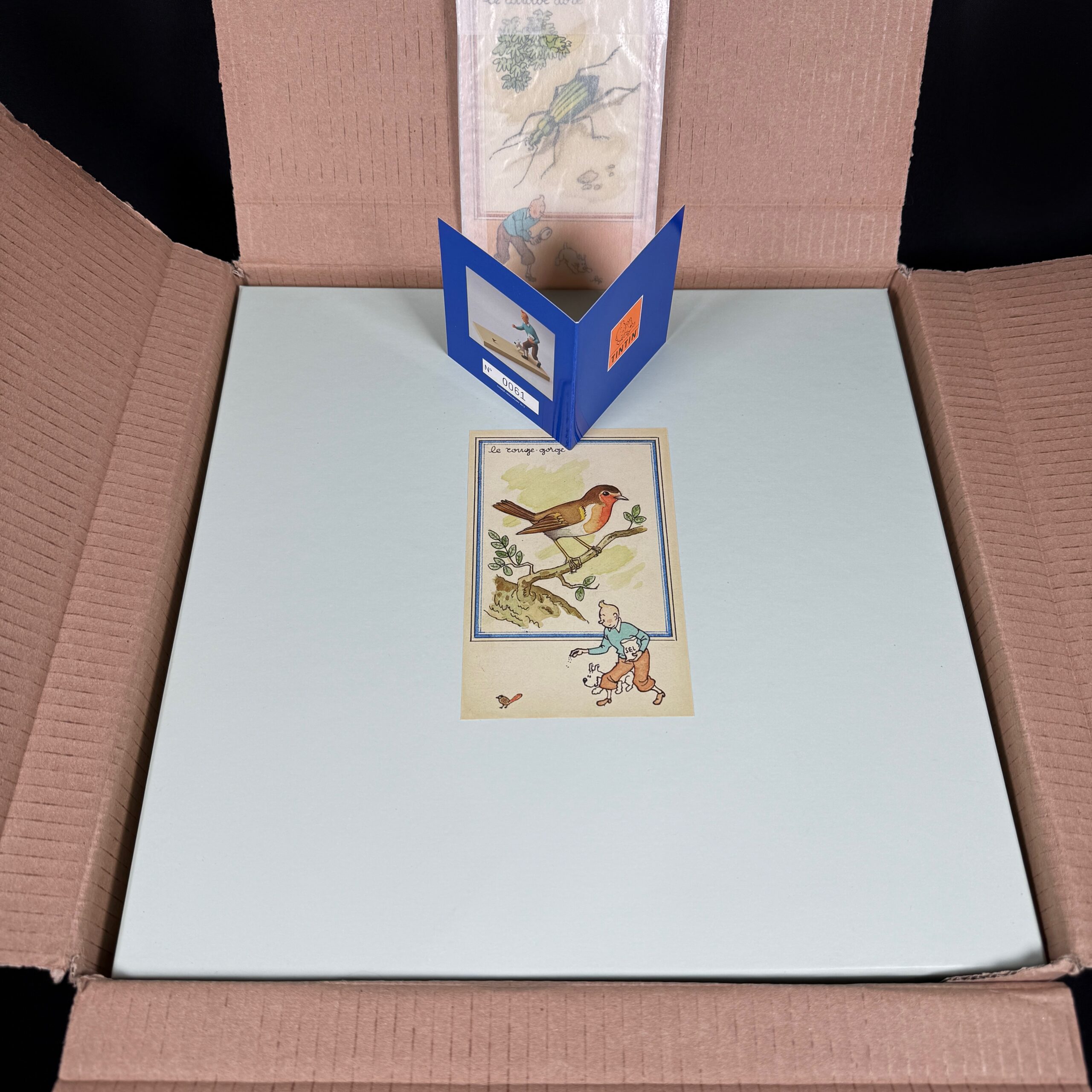 Figurine Family - Rouge gorge Tintin - Fariboles