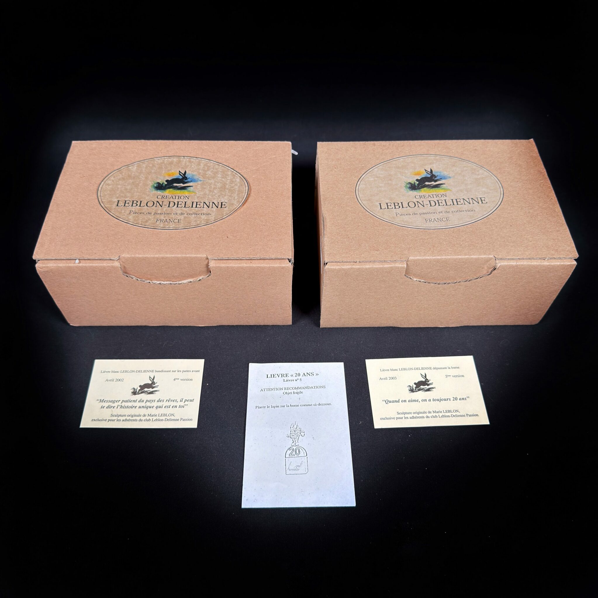 Mascotte lièvre leblon delienne - Figurines Family